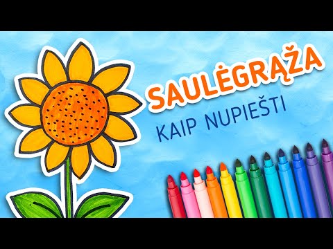 Video: Kaip Piešti Saulėgrąžą Pieštuku