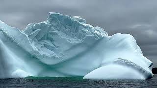 THE GIANT 30 METERS HIGH ICEBERG by Newfoundland