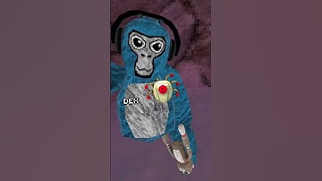 How Many C4s will it take to get out of the map? #gorillatagfun #vr #gorillatag #gorillatagjuke