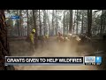 FEMA says yes to assistance on 3 Oregon fires, no to 300,000-acre Rowe Creek Complex
