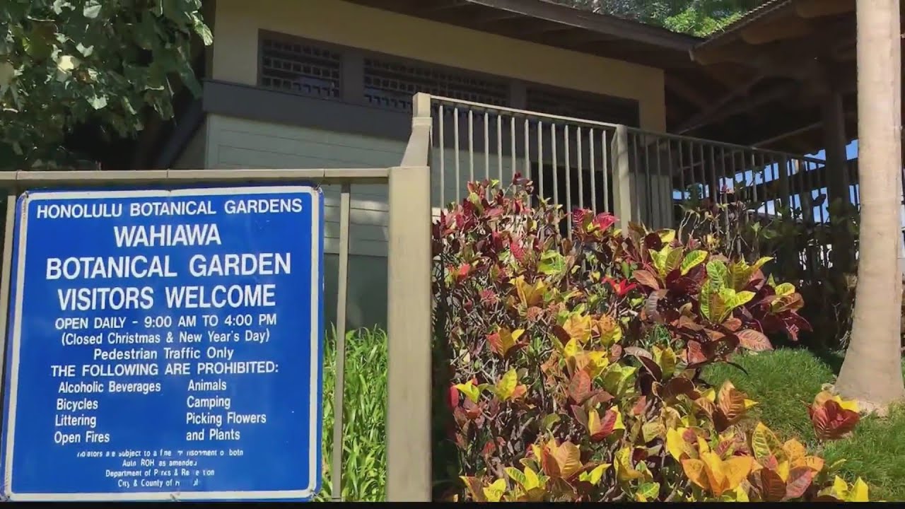 Hometown Hawaii Wahiawa Botanical Gardens YouTube