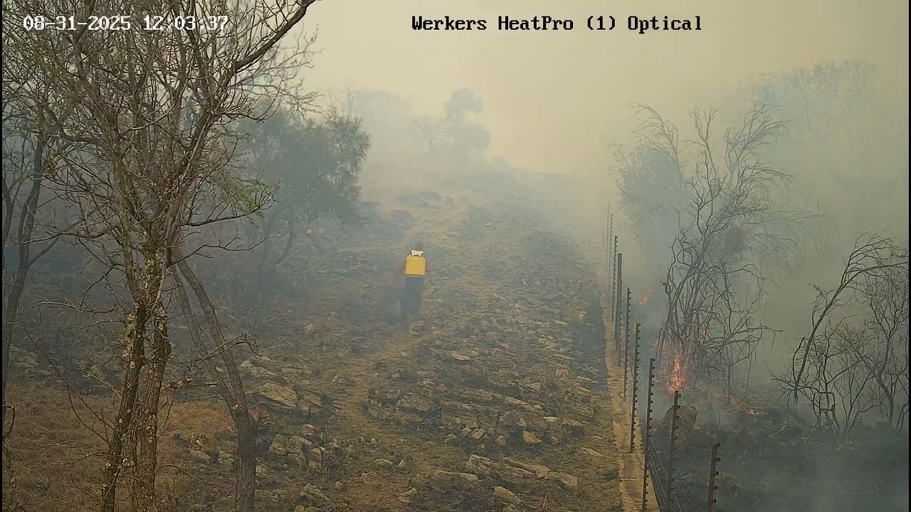 Werkers HeatPro Optical