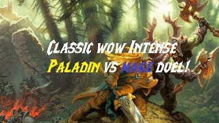 Classic WoW! Paladin vs mage DUEL! Intense