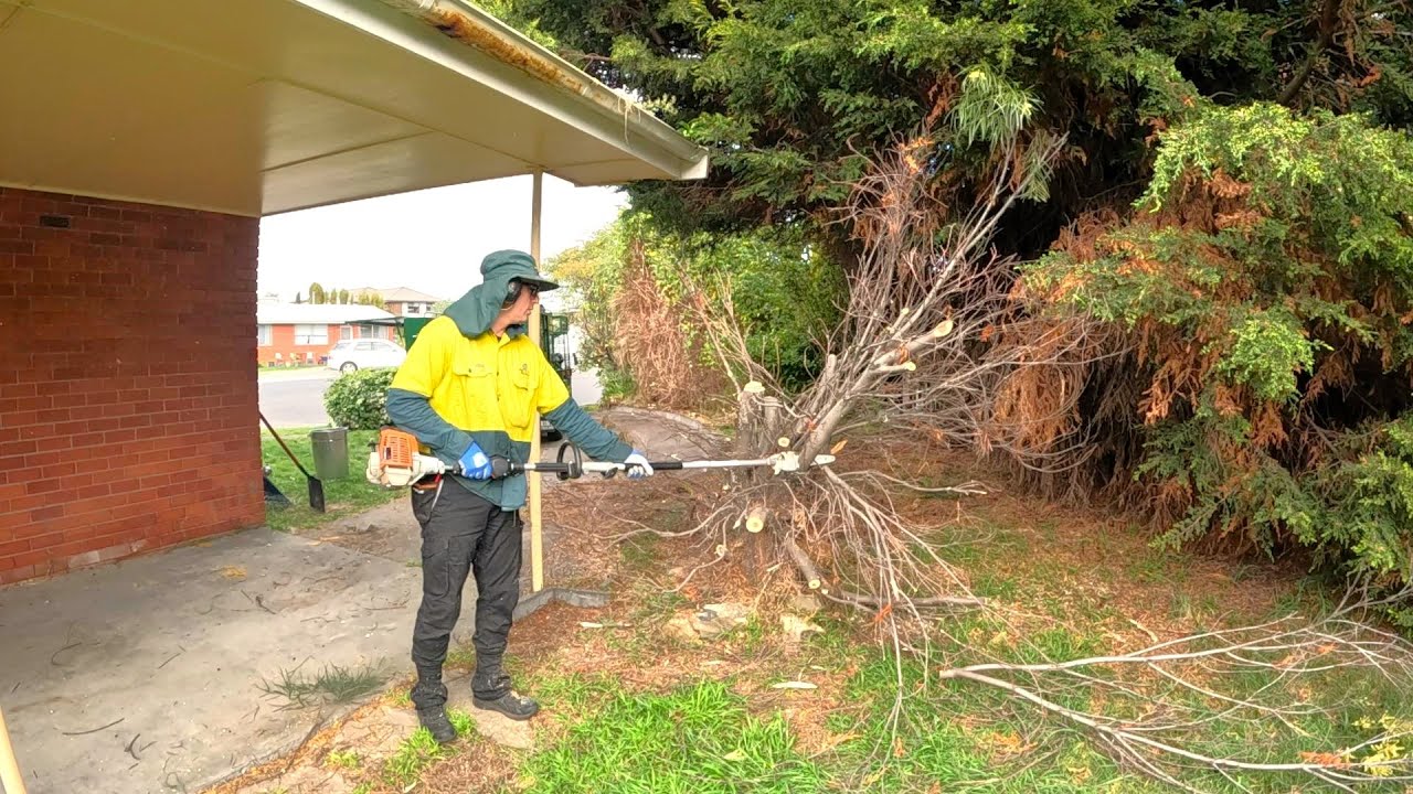 Extreme Garden Makeover | End of Lease Transformation