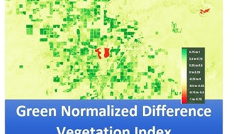 Creating a Green Normalized Difference Vegetation Index Map Using ArcGIS: A Step-by-Step Guide