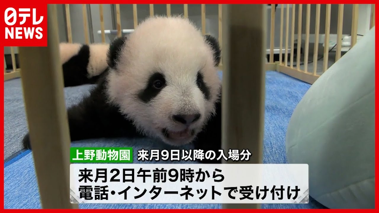 上野動物園】入場制限緩和 来月9日から約3倍に - YouTube