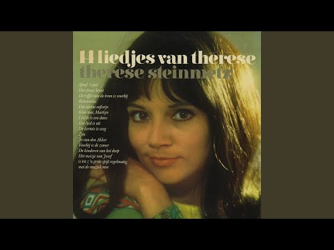 Jo Van Den Akker
