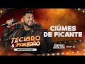 CIÚMES DE FICANTE - Diego Souza @PisadinhaDeLuxo ( Teclado & Paredão )