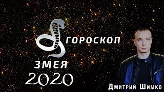 Гороскоп Змея -2020. Астротиполог, Нумеролог - Дмитрий Шимко