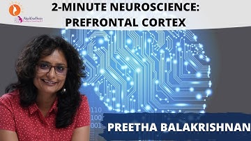 2 Minute Neuroscience: Prefrontal Cortex