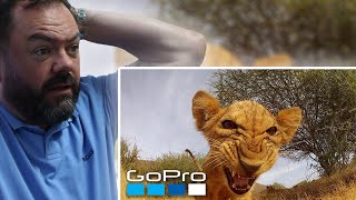 BRITS React to GoPro: Top 10 Animal Encounters
