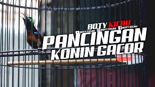 Pancingan Konin