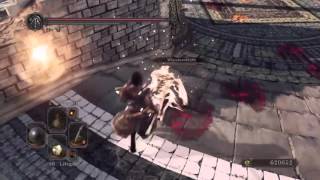 Dark Souls 2 - 8 Parries, 1 Fight