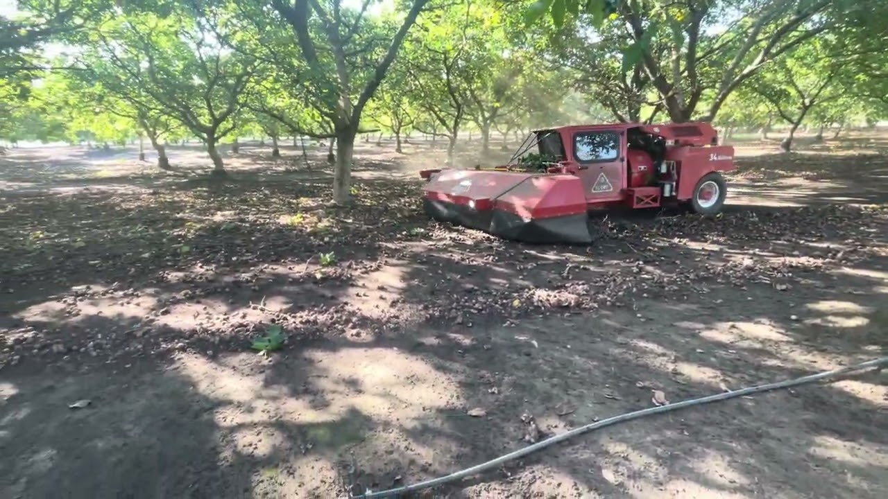 Flory sweeper part 8