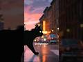 Lit City 🌇 Chill Lofi Vibes #Shorts #Lofi #chillphenol