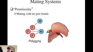 Orn. 19, Mating Systems 2