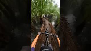 Epic Mountain Biking Adventure Through Tropical Rainforest Trails