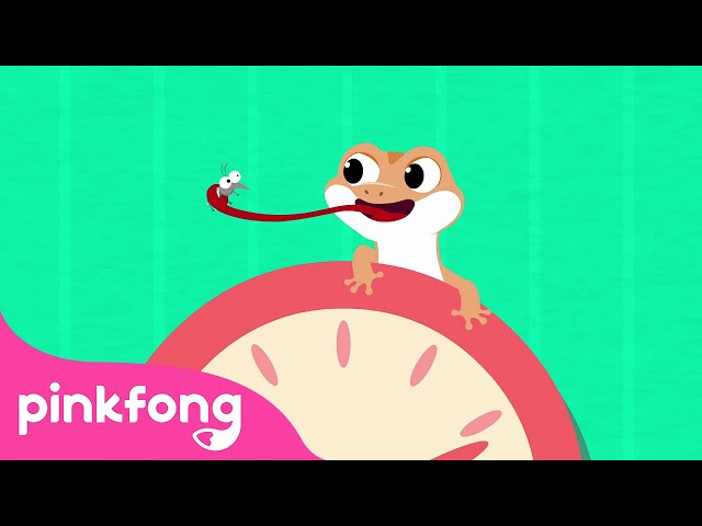 Cicak the Lizard Song | Indonesian Children's Songs | Lizard on the Wall | Pinkfong Baby Shark class=