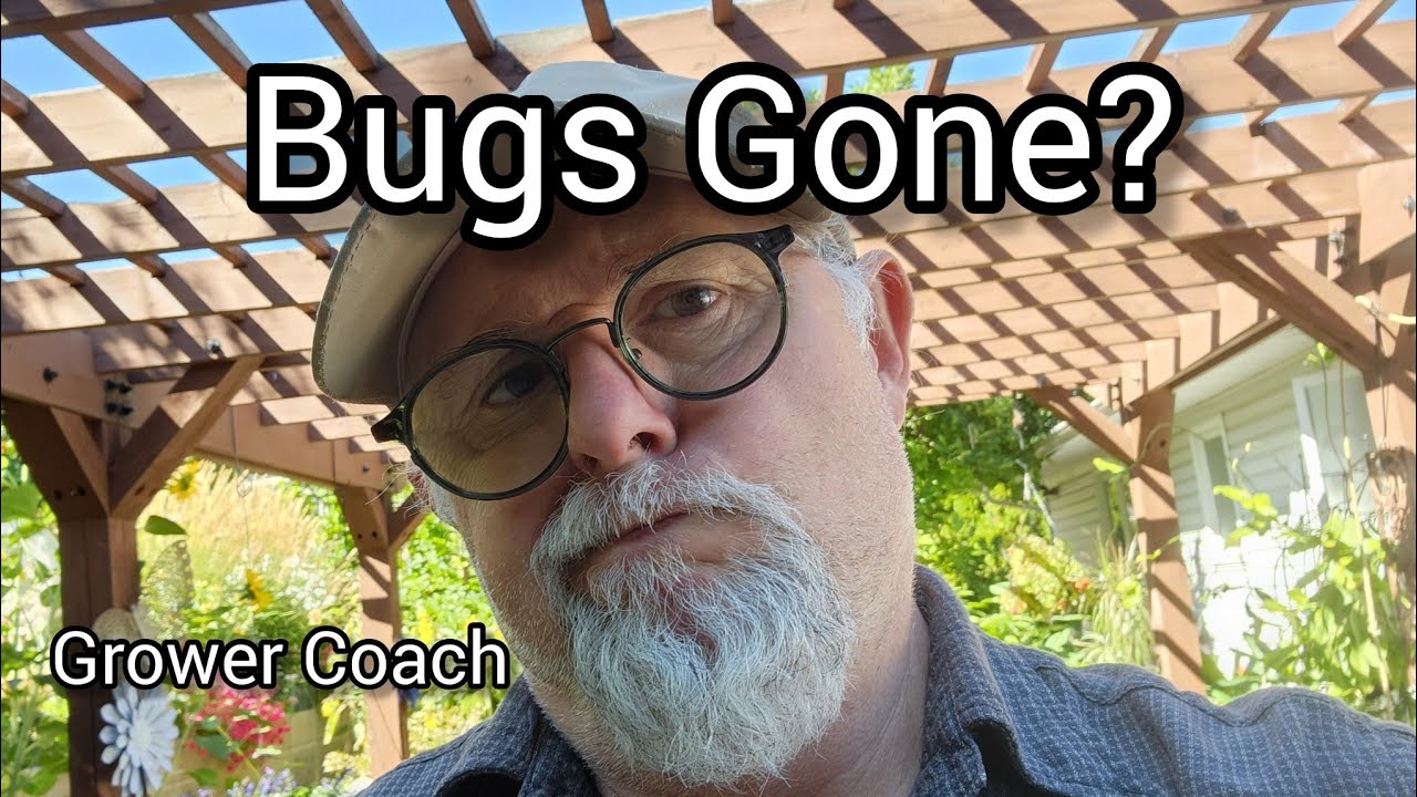 Low Insect Low insect populations in 2023