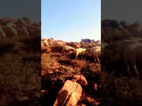 احسن بلاصة لسياحة فالمغرب اقليم ازيلال ايث اعنيناس الجميلة