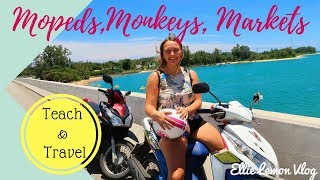 Thailand Phuket - Getting a Scooter, Monkeys and Markets