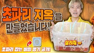 부엌에 초파리 너무 많아서 초파리지옥으로 100마리 잡아보았습니다! - 허팝 (Caught 100 Fruit Flies in a kitchen)