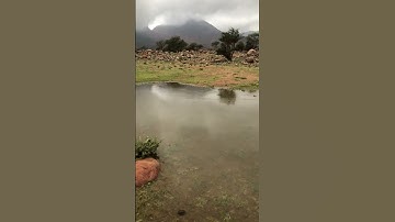 ربيع.مطر.القارئ انس المالك