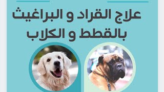 علاج القراد و البراغيث عند الكلاب و القطط?? حشرة_القراد_في_الكلاب | دكتورة_الانسانية | القطط