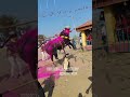 சாராயம்💢வெறித்தனமான காரி♨️#massentry #jallikattu #whatsappstatus