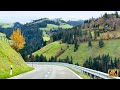  orange and gold beautiful autumn in switzerland  spectacular swiss autumn colors  swiss