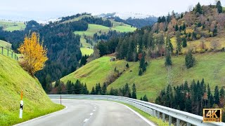 🍁 Orange and Gold Beautiful Autumn in Switzerland 🇨🇭 Spectacular Swiss Autumn Colors | #swiss