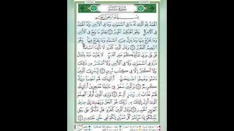 سورة سبأ الآيات 1-2 تلاوة الشيخ أيمن سويد #قليل_دائم_خير​