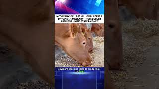 MCDONALD'S SELLS 6.5 MILLION BURGERS A DAY AND 5.4 MILLION OF THOSE BURGER AREIN THE UNITED STATES