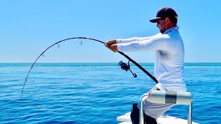 GIANT TREVALLY one INSANE day