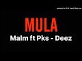 MALM MARTIORA feat PKS - DEEZ : MULA