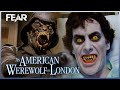 David's Disturbing Dreams | An American Werewolf In London