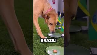 Get the recipes for your furry friend: bit.ly/pb-dog-treats ?? WWC2023 fifaworldcup