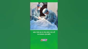 Ngư dân bị cá kìm đâm vào cổ khi đang lặn biển | Nông nghiệp miền Tây