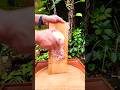 ASMR Video of Grating Fresh and Juicy Jicama #satisfying #asmrsounds #oddlysatisfying #asmr