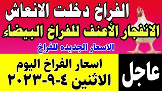 اسعار الفراخ البيضاء اليوم | سعر الفراخ البيضاء اليوم  مصر الاثنين 4-9-2023