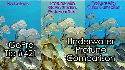 Underwater Video Comparison - No Protune / Protune / Color Correction - GoPro Tip #421 | MicBergsma