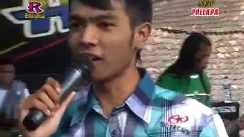 Bimbang gerry mahesa New Pallapa