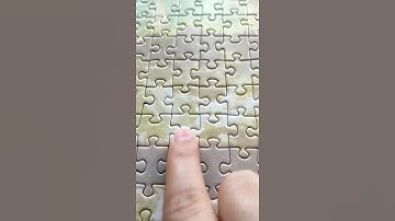 Last pieces of jigsaw puzzle | So satisfying video