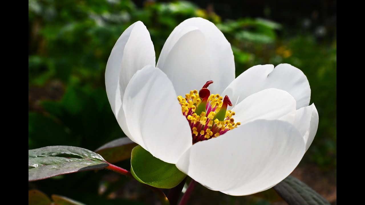 YUSUF UZUN  Take my breath away