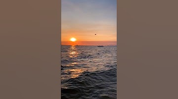 سورة الشمس - Surat Al-Shams #اكسبلور #راحة_نفسية