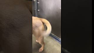 IMG 4869