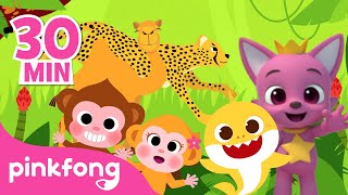 monkey banana and other animal songs compilation rhymes for kids pinkfong baby shark
