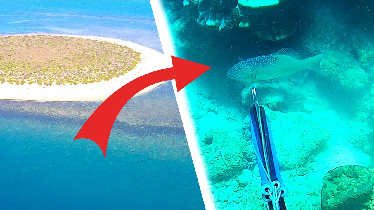 ISLAND SPEARFISHING Remote reefs Exmouth, WA YouTube