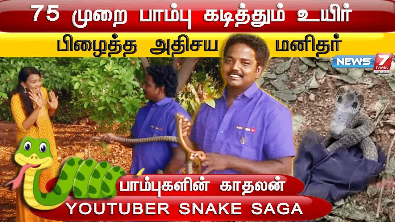 பாம்புகளின் காதலன் Youtuber Snake Saga-வுடன் திக் திக் நிமிடங்கள்... | Snake Catcher Interview