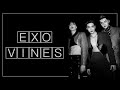 EXO vines to watch on your way to burn down SM :)